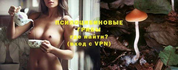 трава Алзамай