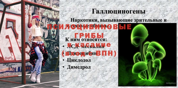 дживик Алексин