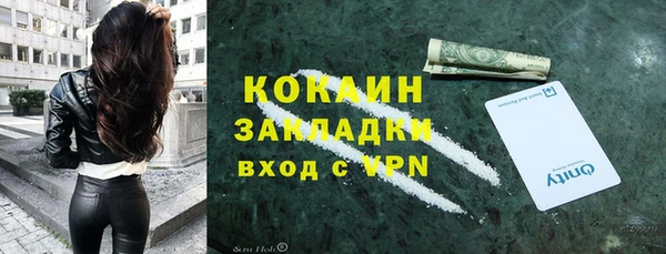 дживик Алексин
