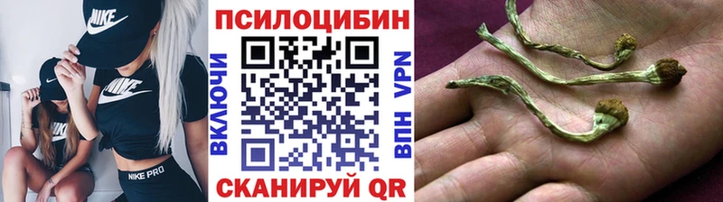 Псилоцибиновые грибы Psilocybine cubensis  как найти наркотики  OMG   Пустошка 